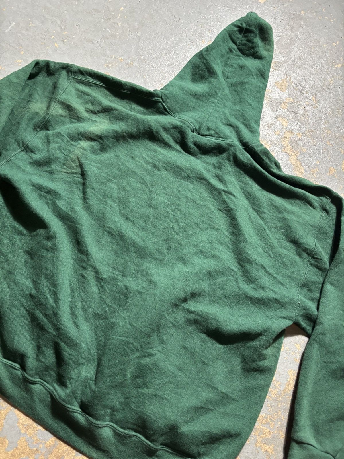 Russell Athletic × Vintage Mount lions greenRussell athletic hoodie sweatshirt Size US M / EU 48-50 / 2 - 5 Thumbnail