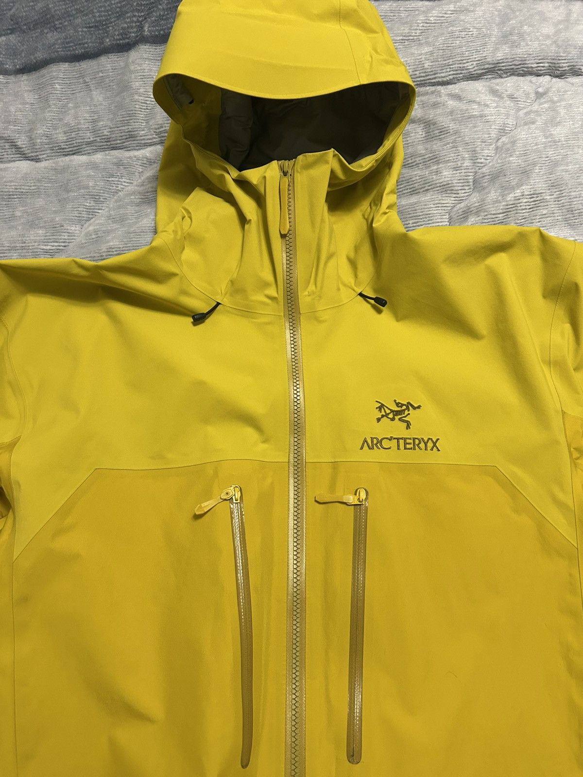 Arc'teryx Arc'teryx Alpha AR Jacket Size US L / EU 52-54 / 3 - 2 Thumbnail