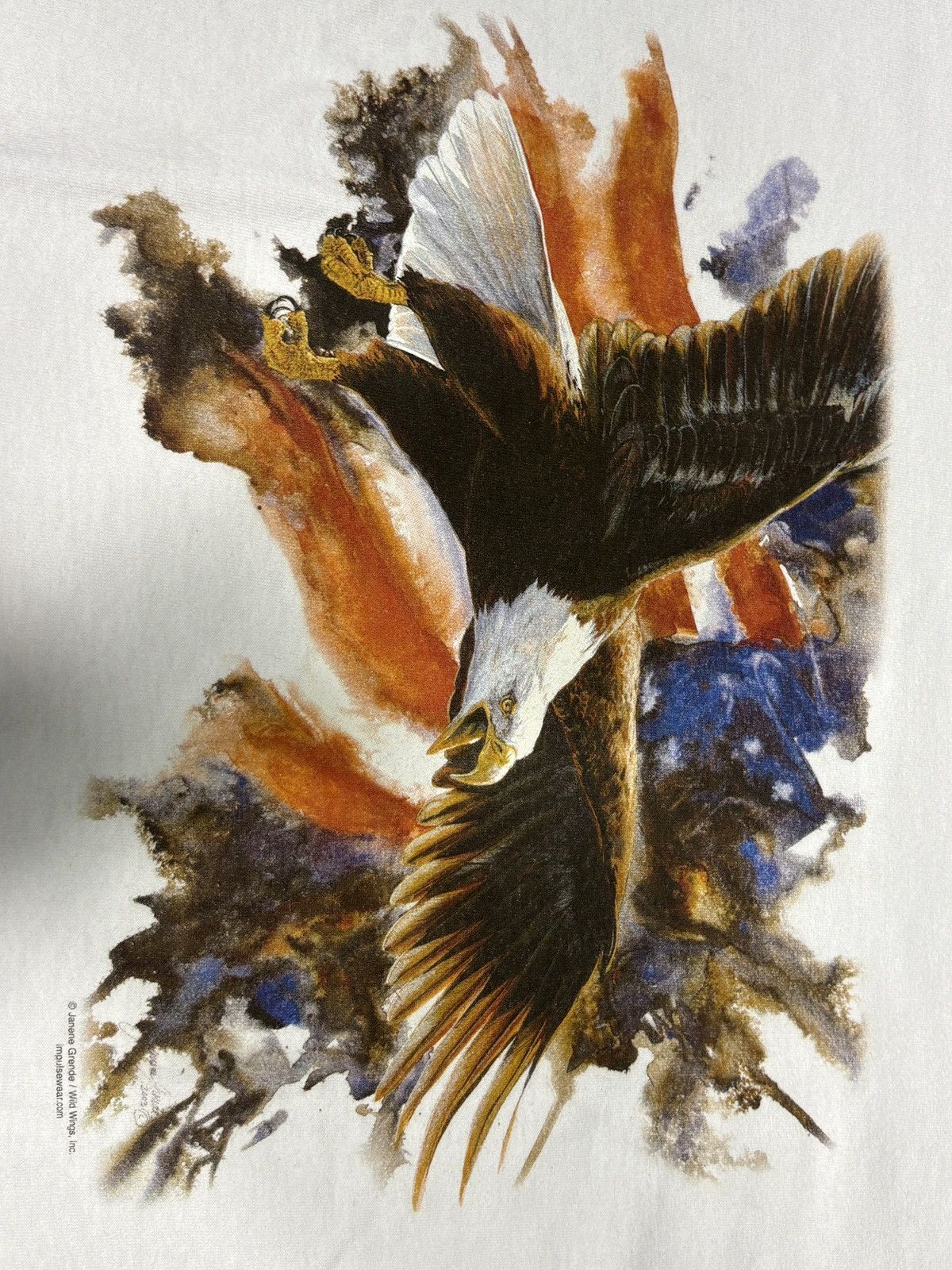 Anvil Vintage 1990s Anvil American Bald Eagle T-Shirt Size L 0787 Size US L / EU 52-54 / 3 - 4 Thumbnail