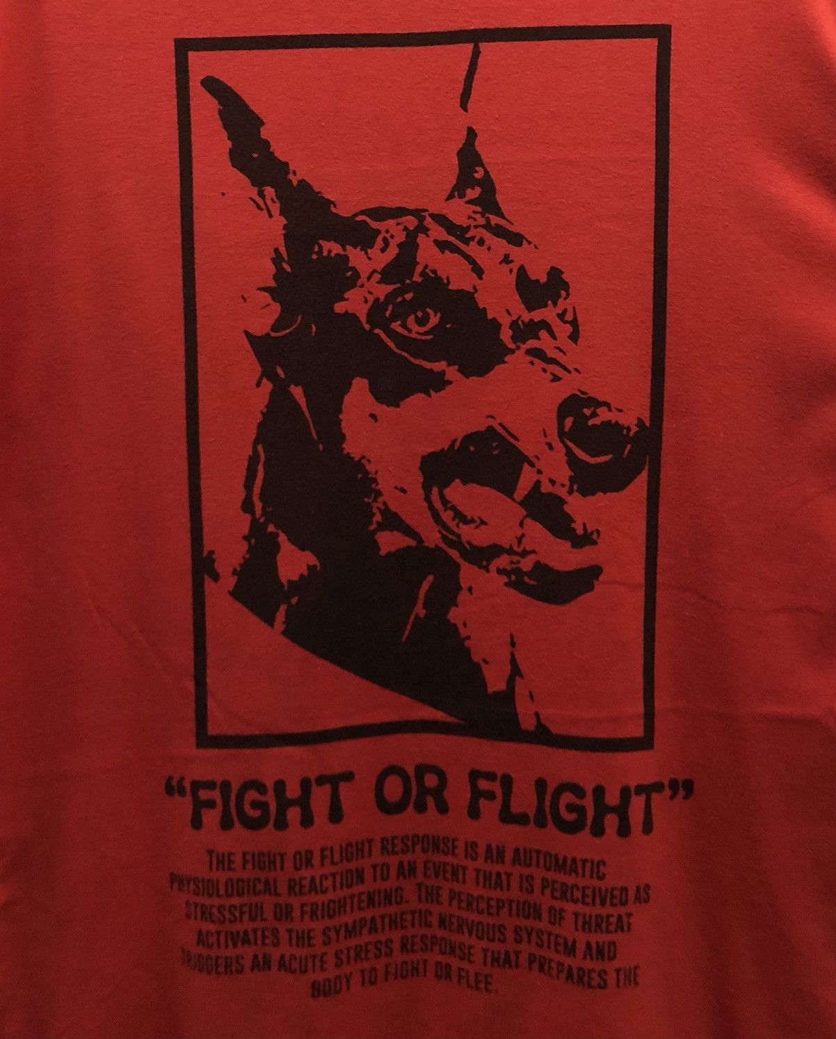 Boohoo Boohoo MAN Limited Edition "Fight Or Flight" T-Shirt Size US M / EU 48-50 / 2 - 3 Thumbnail