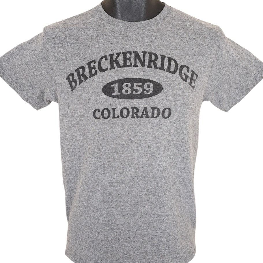 Delta Ski Breckenridge T Shirt Mens Size Small Gray Colorado Size US S / EU 44-46 / 1 - 1 Thumbnail