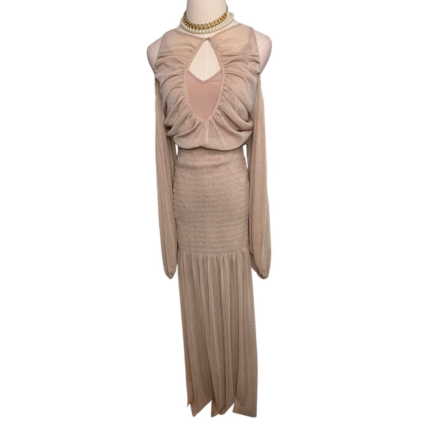 Alice McCall Alice McCall Spell Gown Maxi Dress nude metallic mesh Size 4 Size S / US 4 / IT 40 - 5 Thumbnail