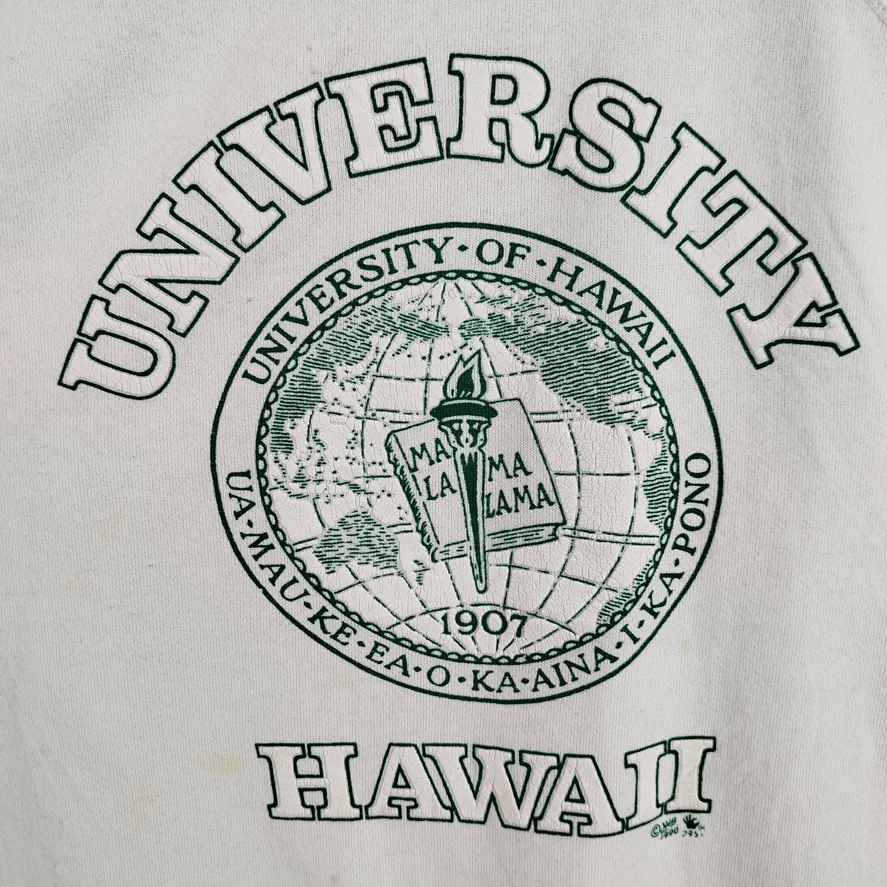 Hanes × Vintage Vintage University Of Hawaii Hanes Tag Made In USA Big Logo Size US L / EU 52-54 / 3 - 2 Thumbnail
