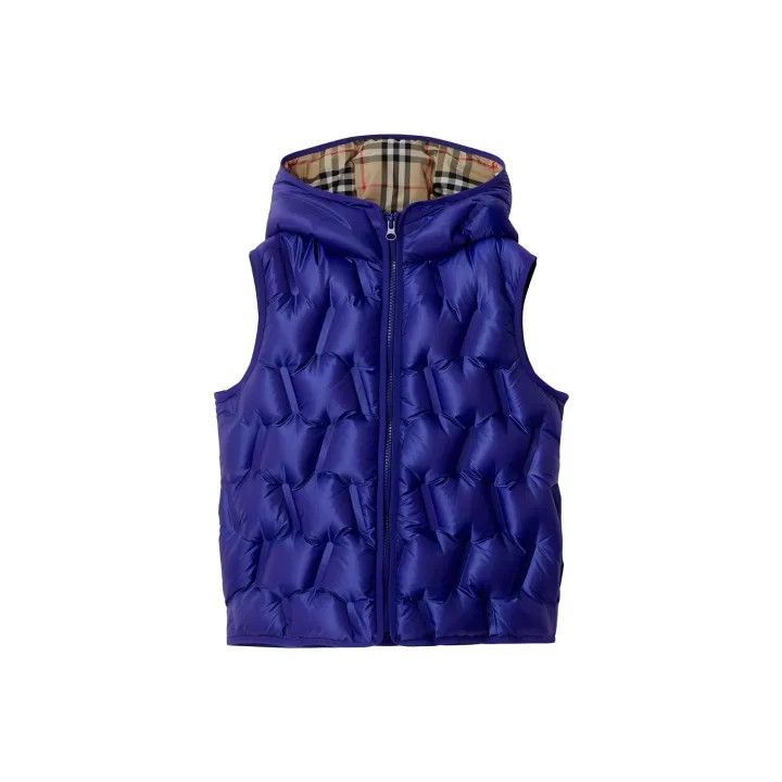 Burberry Kids Casual Hooded Vest in Iron Blue