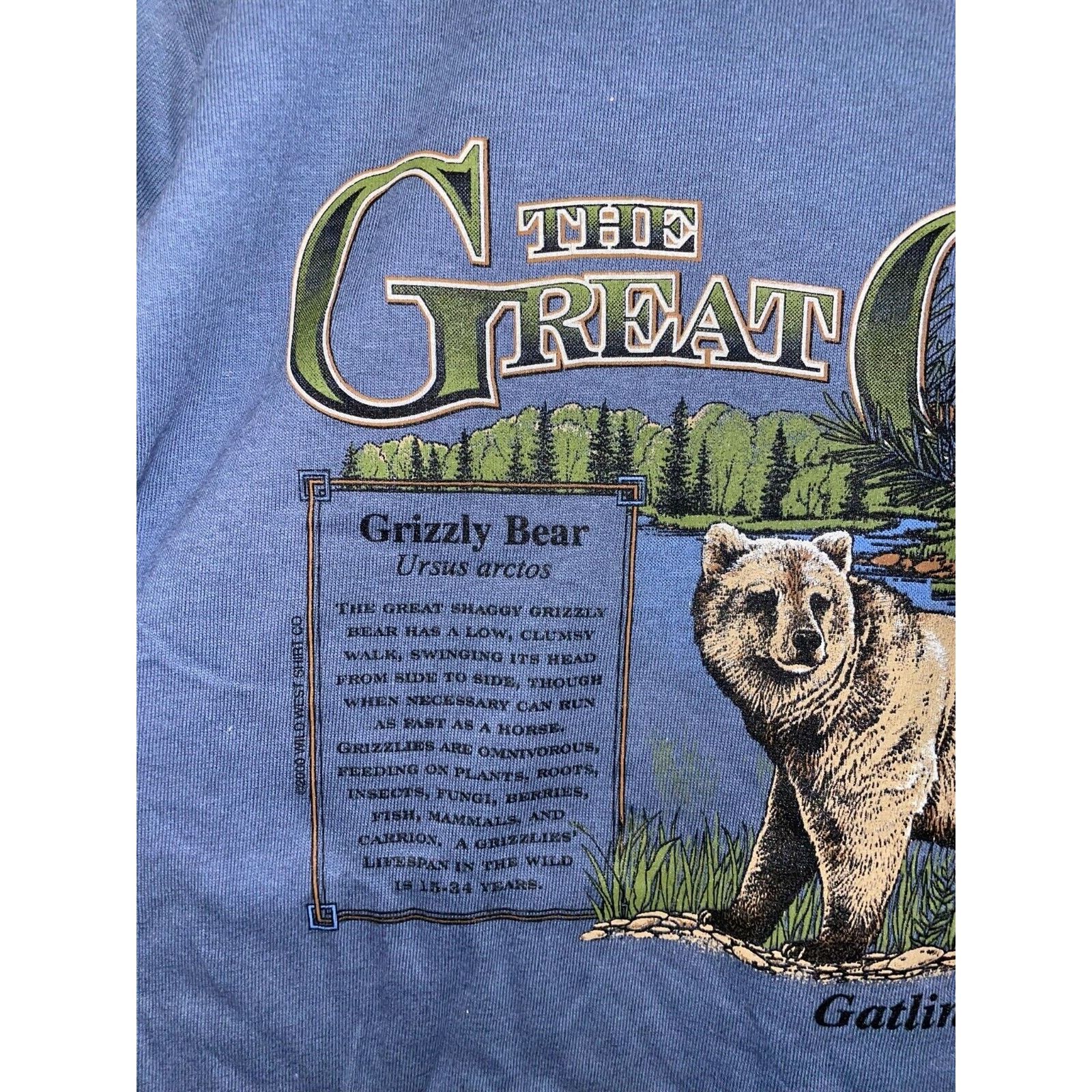 Anvil Vintage Gatlinburg Shirt The Great Outdoors Grizzly Bear Tee Size US M / EU 48-50 / 2 - 2 Thumbnail