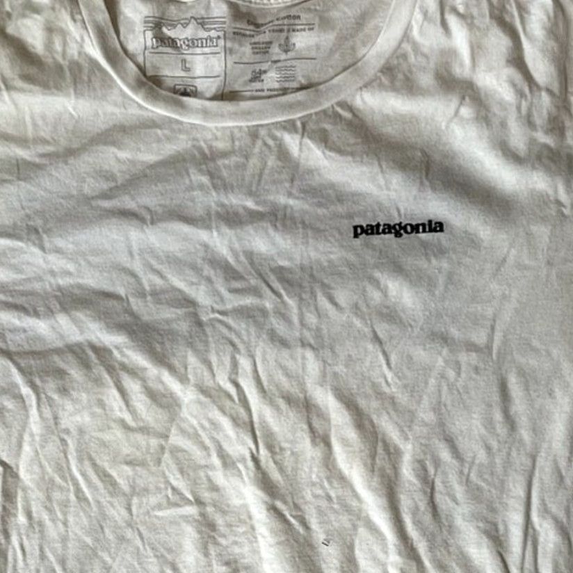 Patagonia Patagonia Organic Cotton Tee Mens Back Logo Short Sleeve Size L Size US 31 - 3 Thumbnail