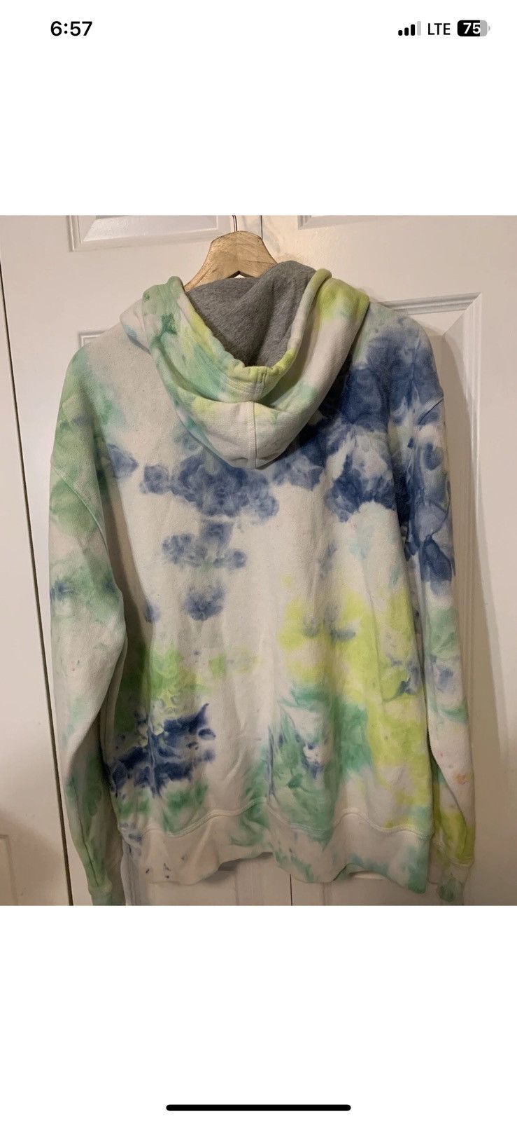 Champion Champion Hoodie Mens Sz L Tie Dye Wash White Green Blue Size US L / EU 52-54 / 3 - 7 Thumbnail