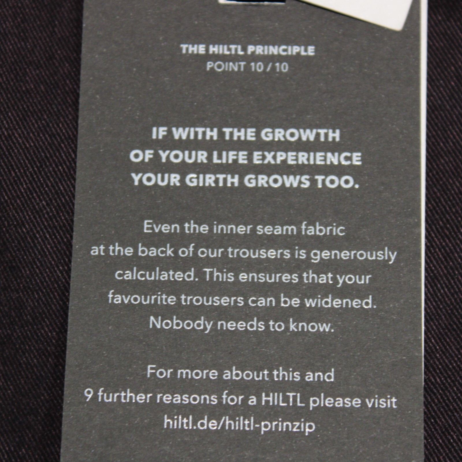 Hiltl New with tags Chino Size 34 US In Purple