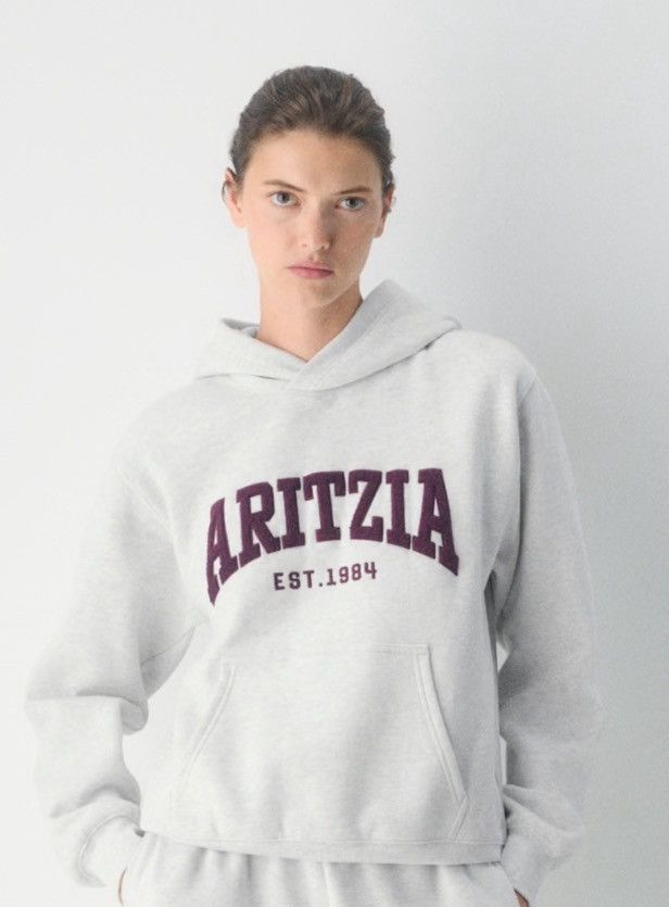 Aritzia Unworn Unopened Cozy Sweatfleece Perfect Hoodie Size S / US 4 / IT 40 - 2 Thumbnail
