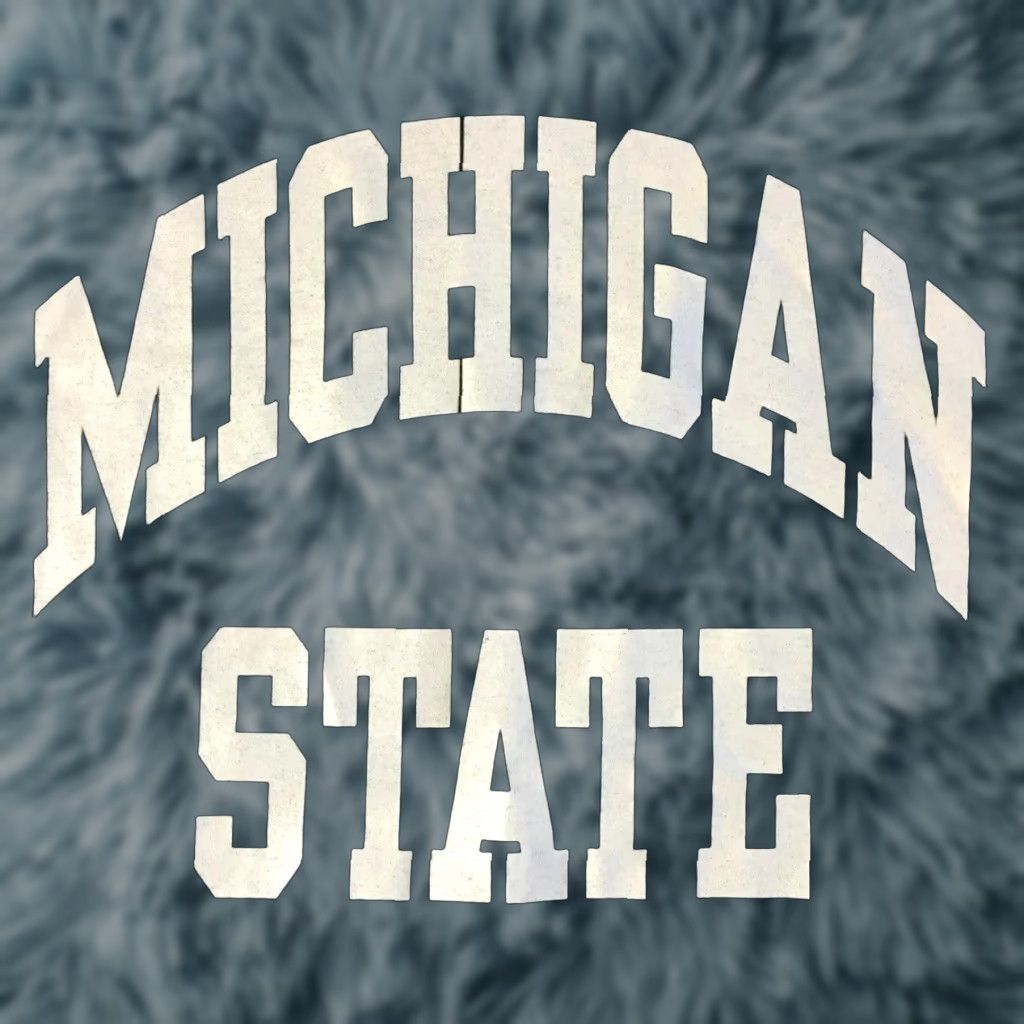 Vintage VINTAGE Michigan State University Shirt XL Green 90s 80s Faded Spellout Single Stitch Mens USA College Grunge Track & Field Sports Spartans Size US XL / EU 56 / 4 - 1 Thumbnail