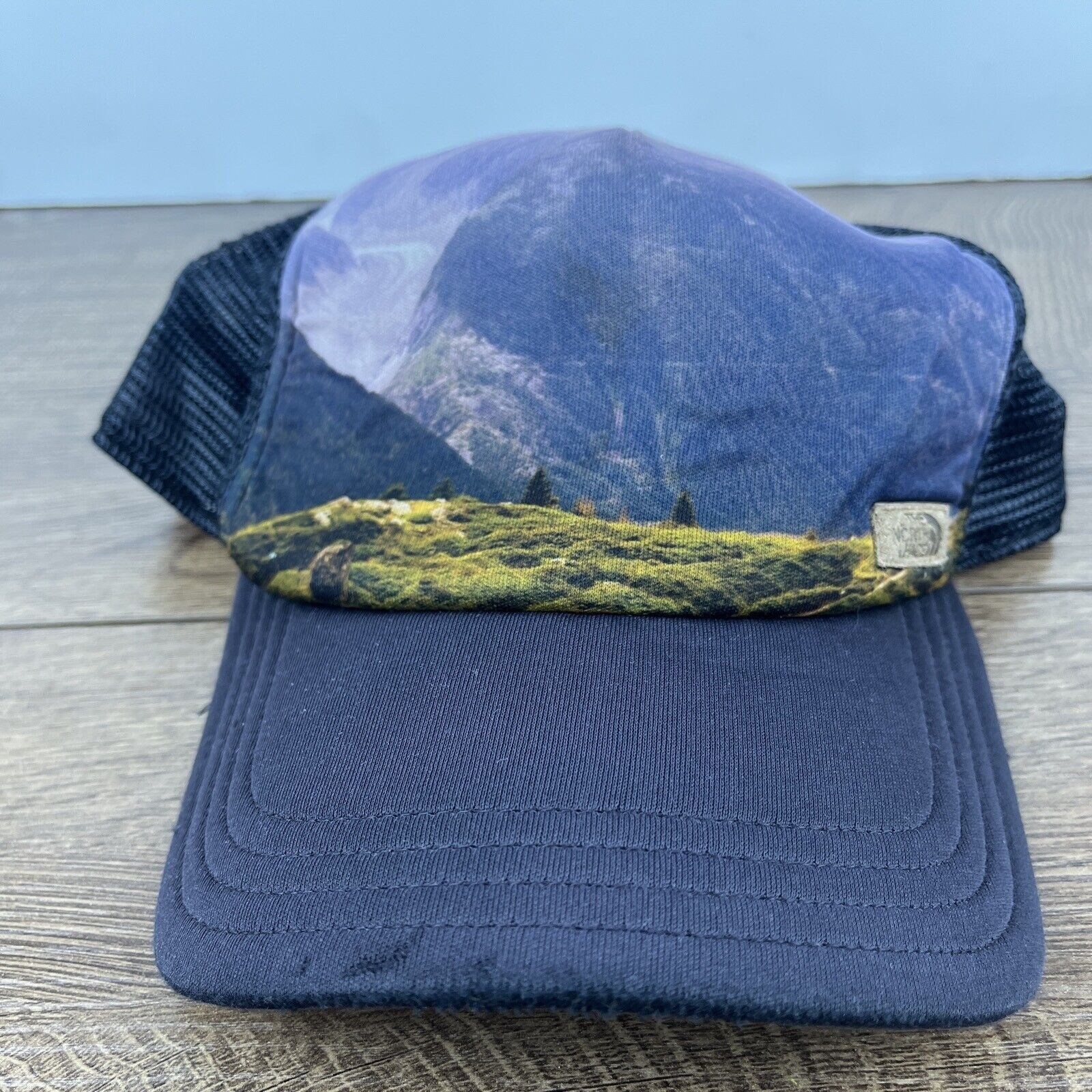 The North Face The North Face Hat Mountains Blue Hat Adjustable Adult Size Size ONE SIZE - 1 Thumbnail