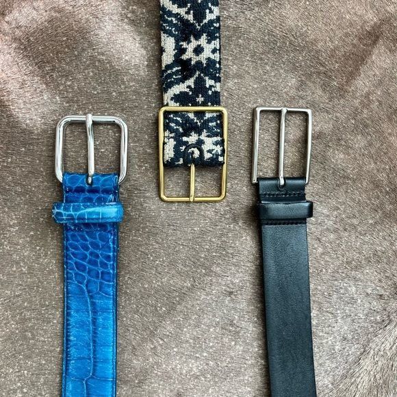 Trussardi Trussardi Tapestry Leather Lined Brass Buckle Belt Size 36 - 7 Thumbnail
