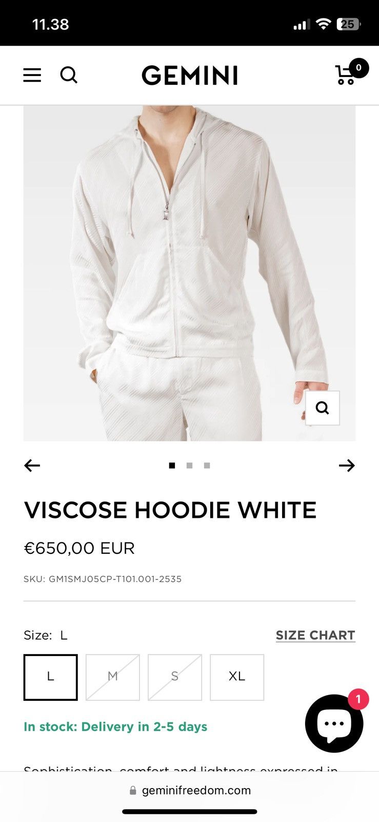 image of Gemini Hoodie in White, Men's (Size Medium)