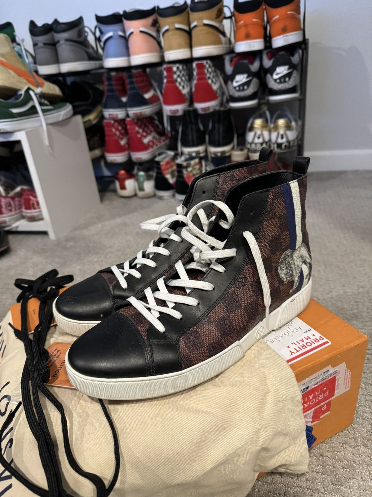 High Top Lion Sneaker