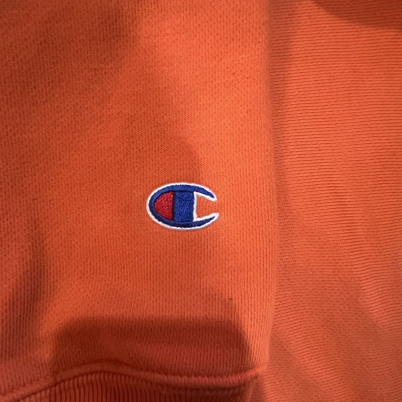 Champion Champion Reverse Weave Pride Hoodie Size US M / EU 48-50 / 2 - 7 Thumbnail