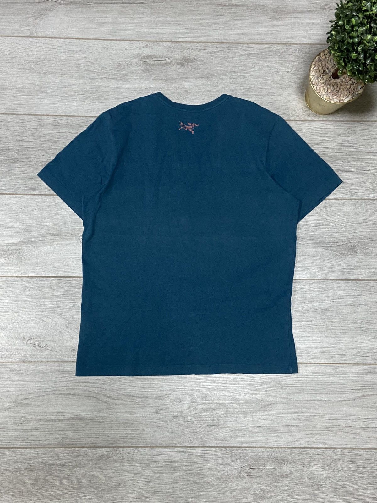 Arc'teryx Arcteryx vintage big bird logo t-shirt Size US M / EU 48-50 / 2 - 2 Thumbnail