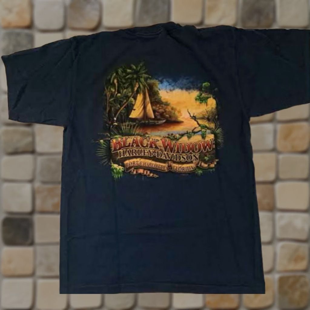 Harley Davidson Harley-Davidson T-Shirt USA Charlotte 2009 M Blue Unisex Adults Short Sleeve Medium Black Widow Port Charlotte Florida Size US M / EU 48-50 / 2 - 1 Thumbnail