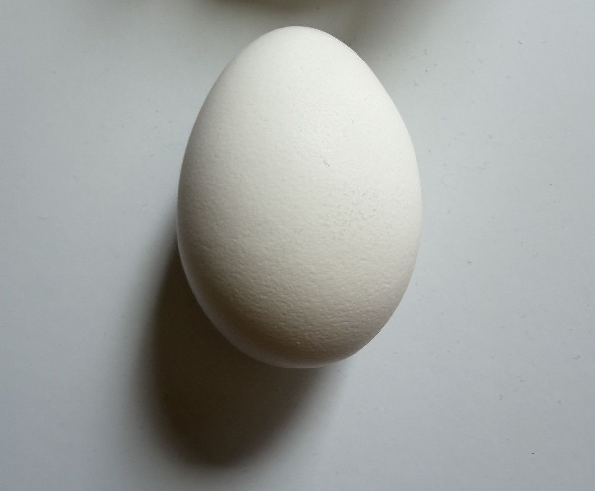 Maison Margiela Archive - RARE! Maison Martin Margiela Fortune Egg — Line 13 Size ONE SIZE - 2 Thumbnail