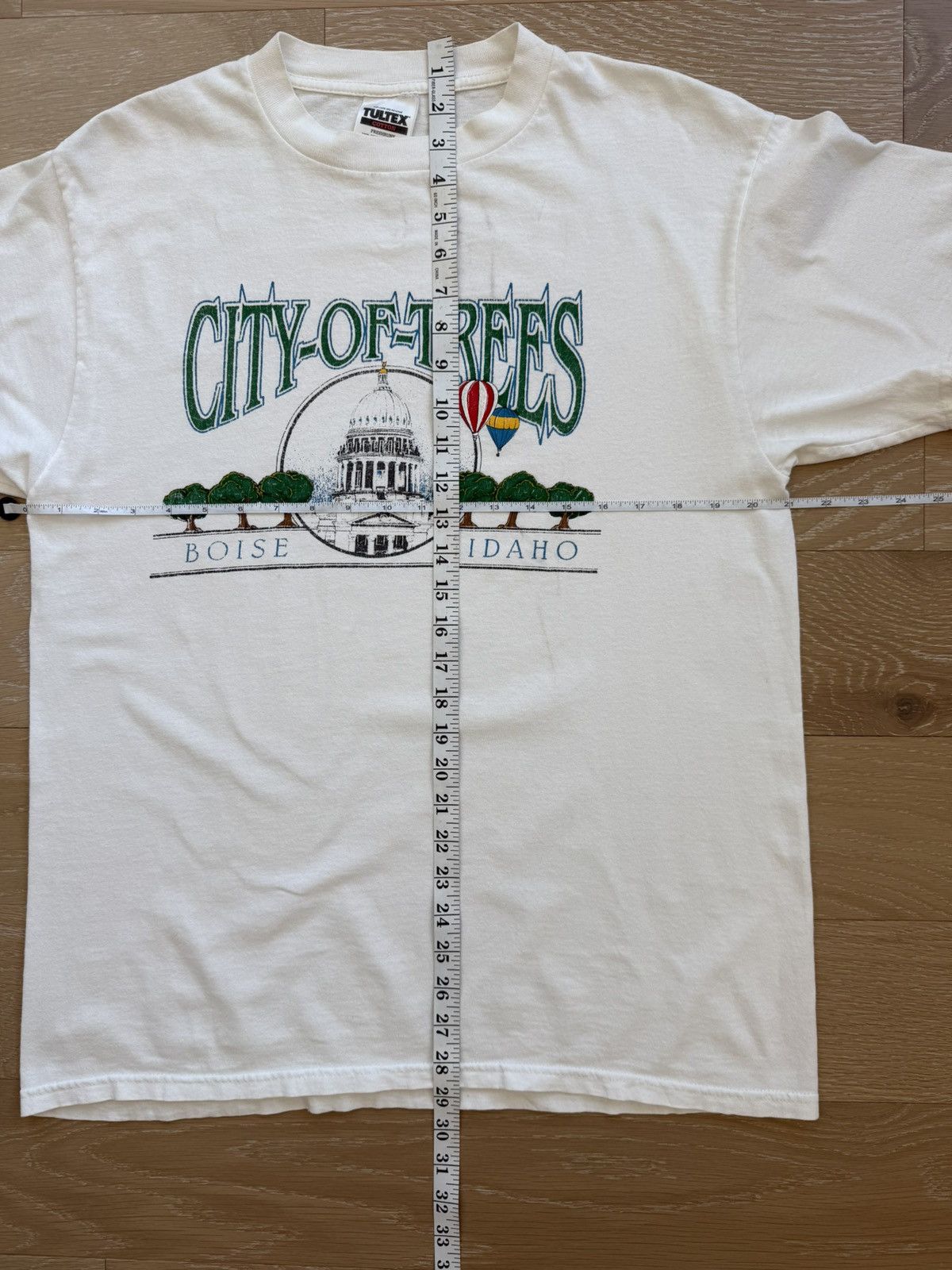 Tultex Vintage City of Trees Boise Idaho Balloon Nature Shirt Size US L / EU 52-54 / 3 - 9 Thumbnail