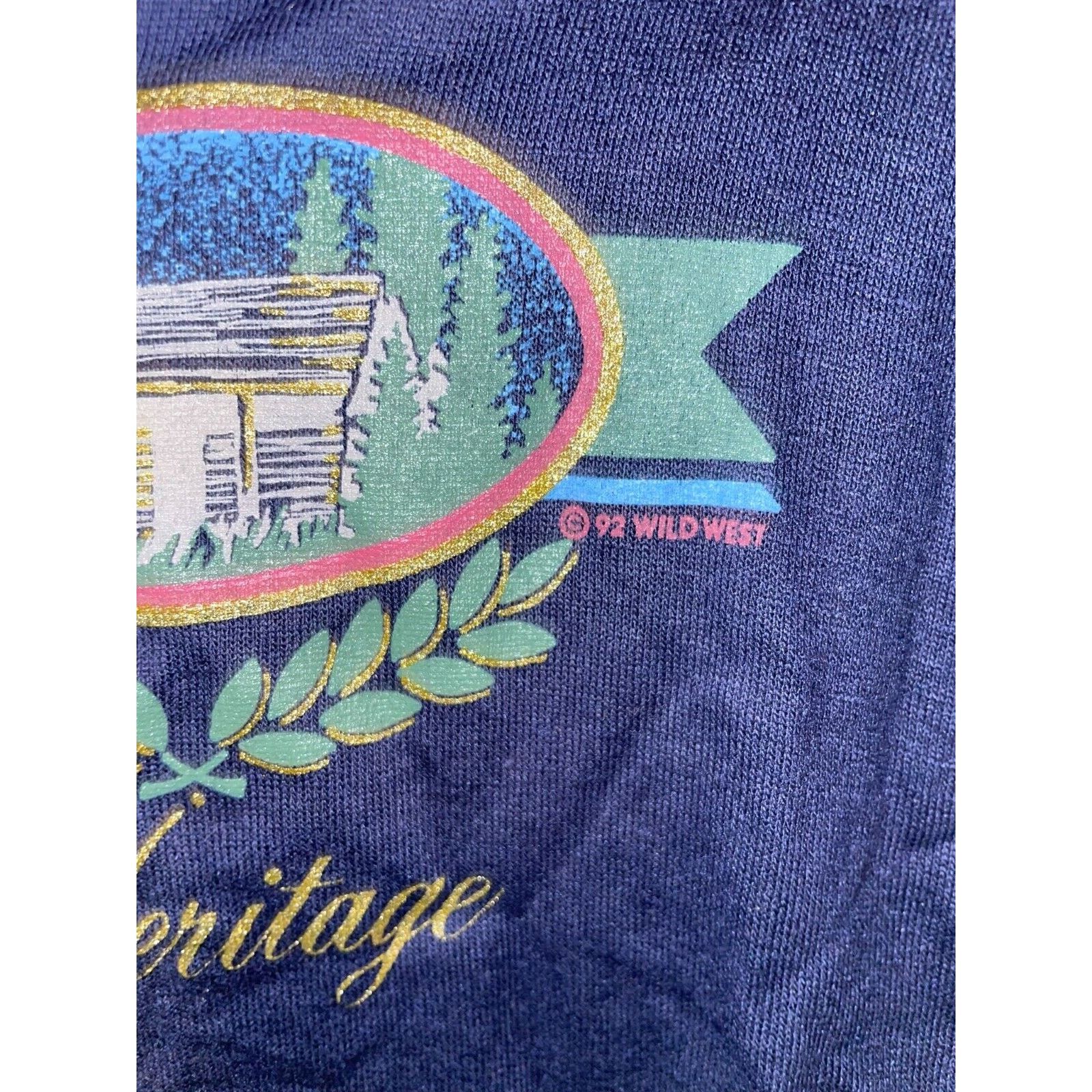 Jerzees Vintage Blue Ridge Mountains Shirt VA Virginia Tee 90s M Size US M / EU 48-50 / 2 - 6 Thumbnail