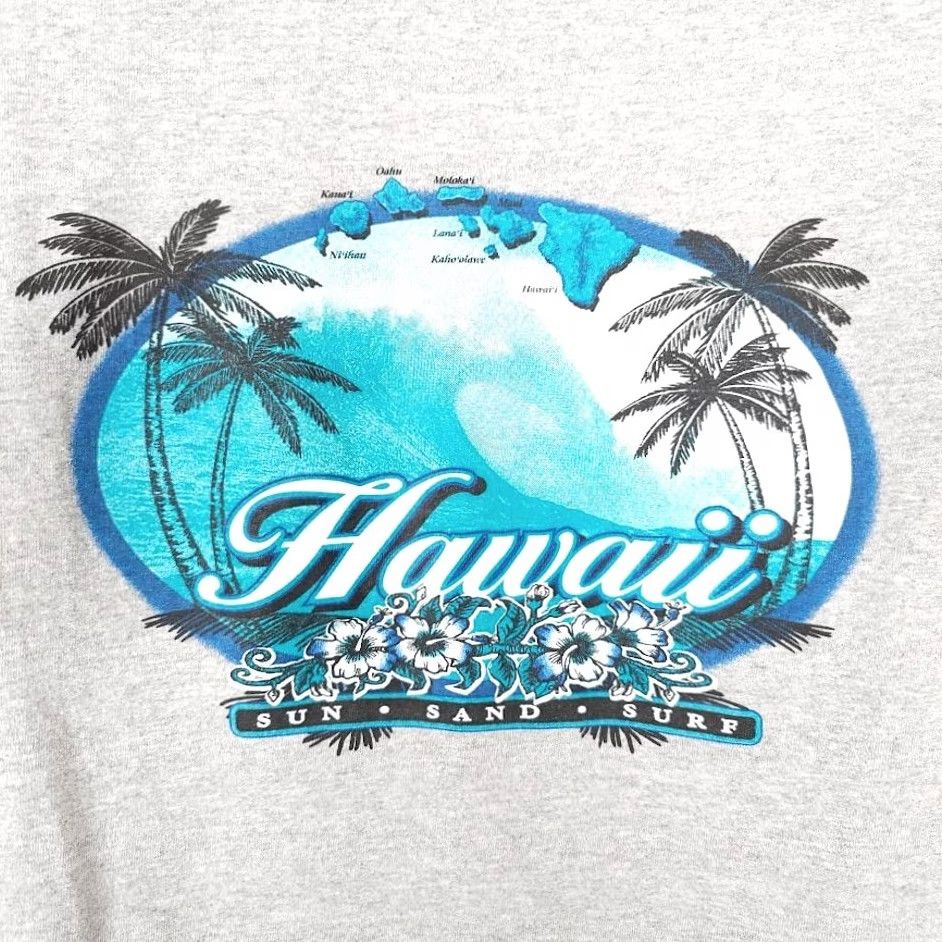 Gildan Hawaii Surfing T Shirt Mens Size Large Gray Hawaiian Palm Trees Destination Gildan Regular Cotton Short Sleeve Crew Neck Double-Sided Vintage No Size US L / EU 52-54 / 3 - 5 Thumbnail
