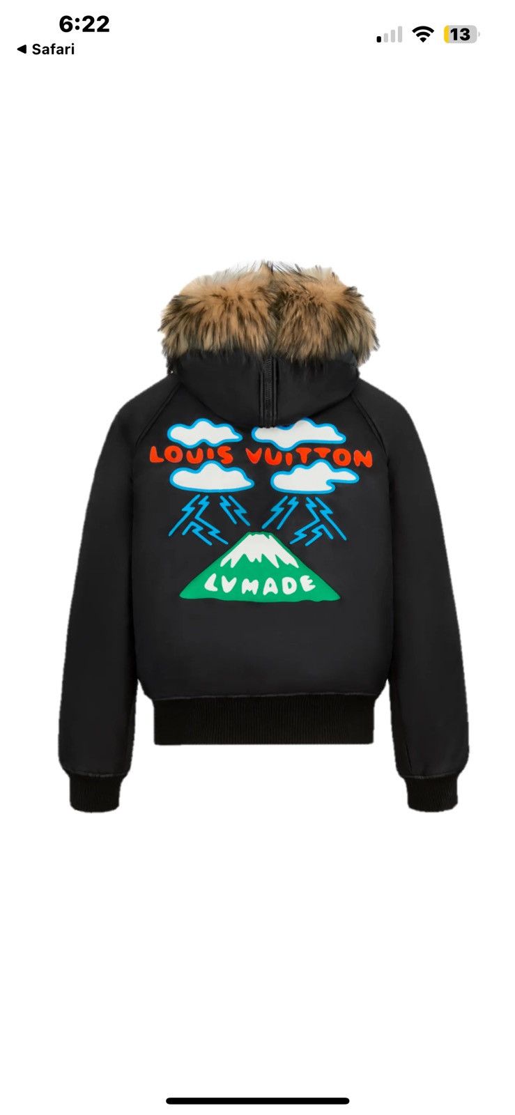 Louis Vuitton Louis Vuitton x Nico Mountain Aviator Fur Hood Jacket Size US L / EU 52-54 / 3 - 2 Thumbnail