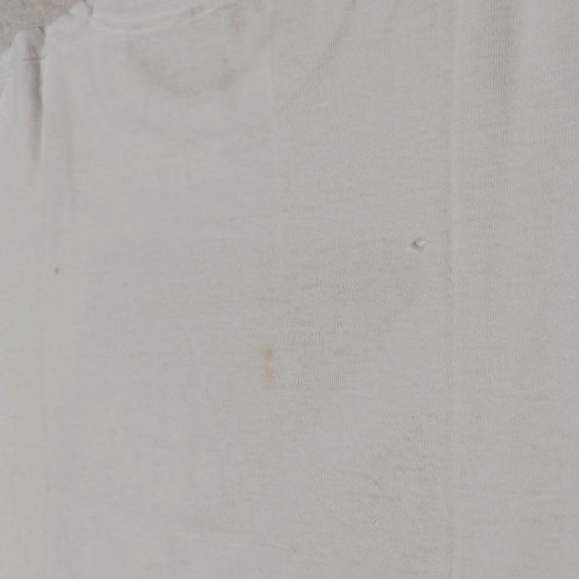 Fruit Of The Loom Vintage 1996 Alien vs Predator Shirt L White Rare Japan Promo Used Adult Men Fruit of the Loom Size US L / EU 52-54 / 3 - 4 Thumbnail