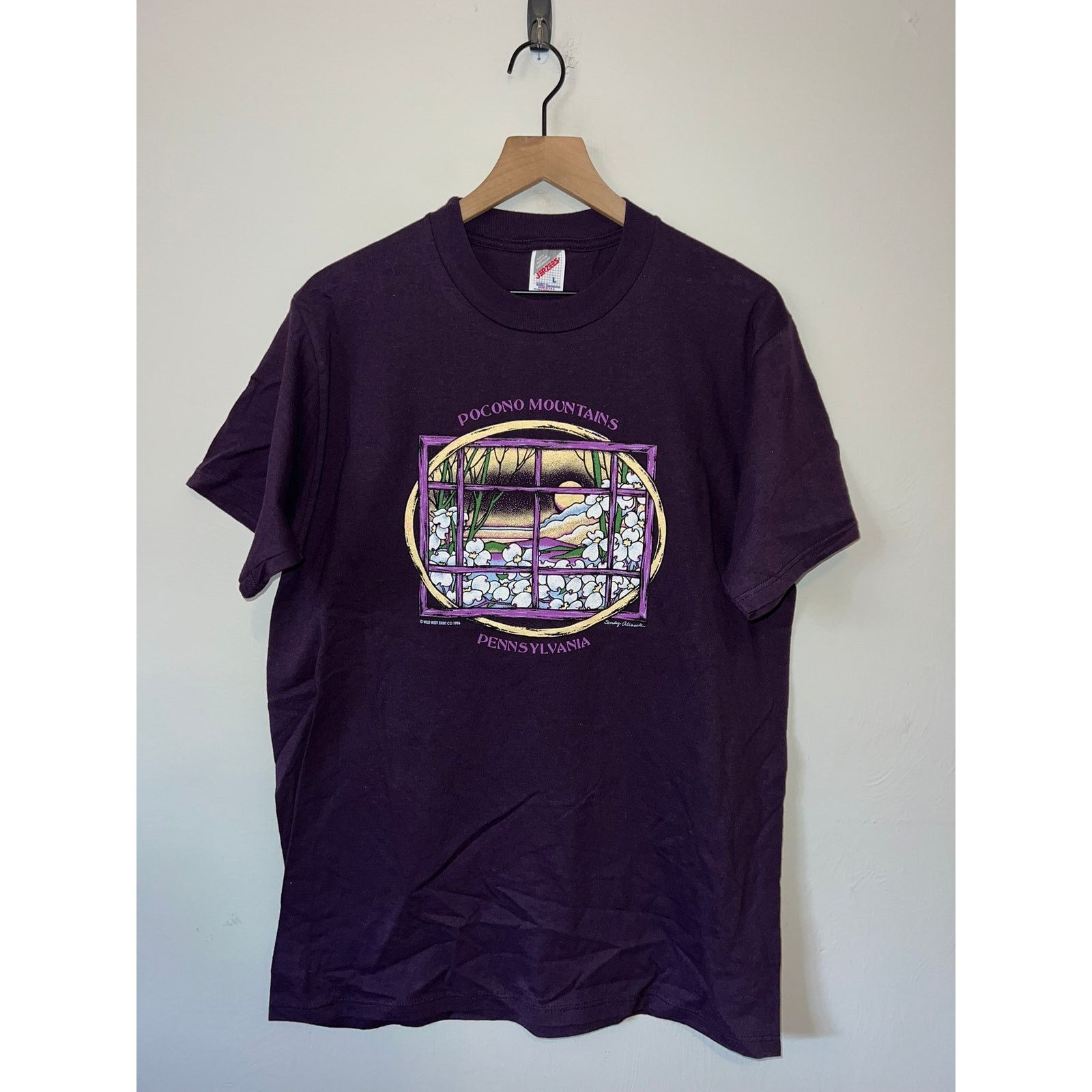 Jerzees Vintage Pocono Mountains Shirt Pennsylvania Tee VTG 90s L Size US L / EU 52-54 / 3 - 1 Thumbnail