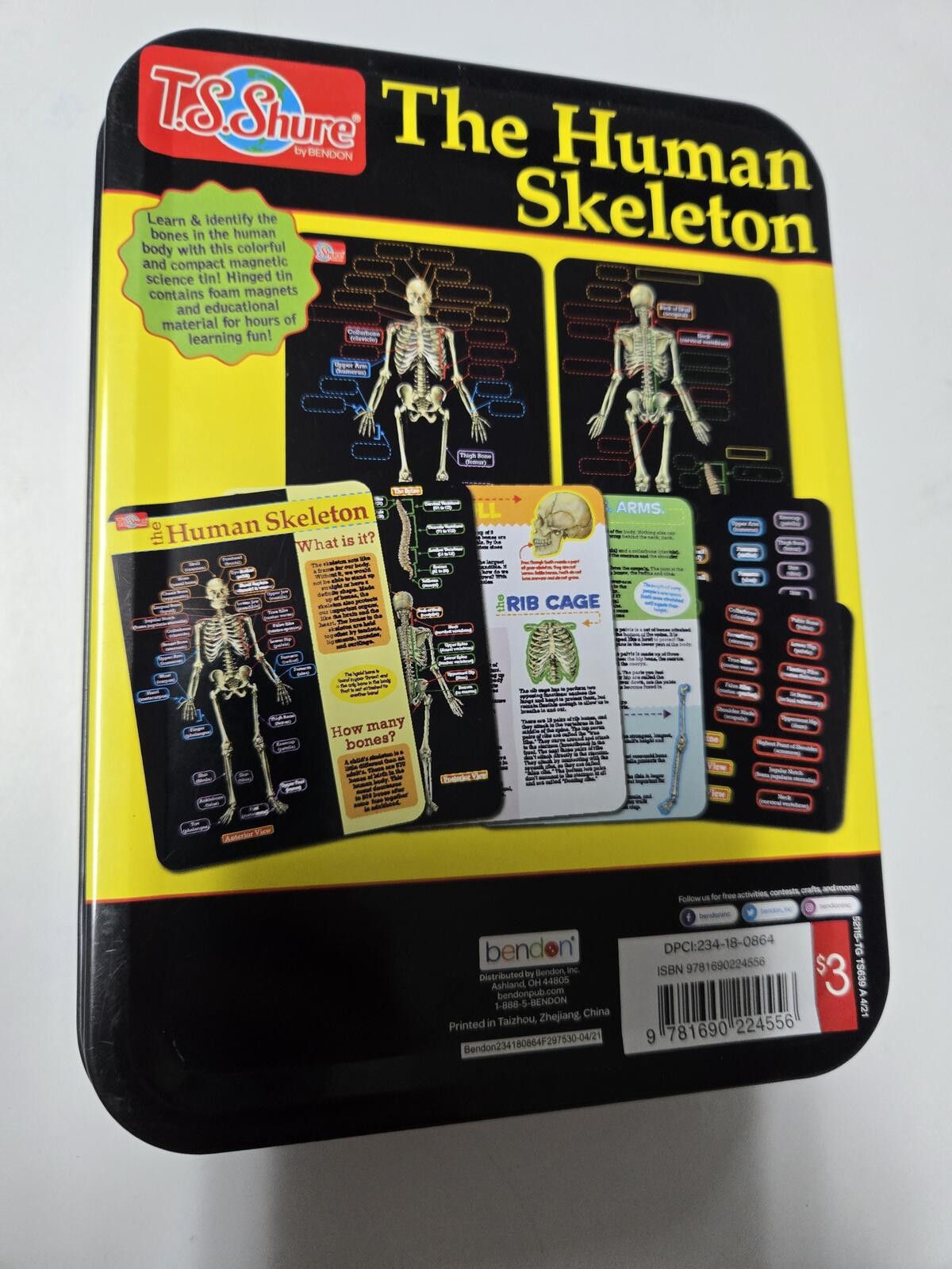 Other STEM Shark Human Skeleton Magnetic Kits TS Sure Educational Size ONE SIZE - 5 Thumbnail