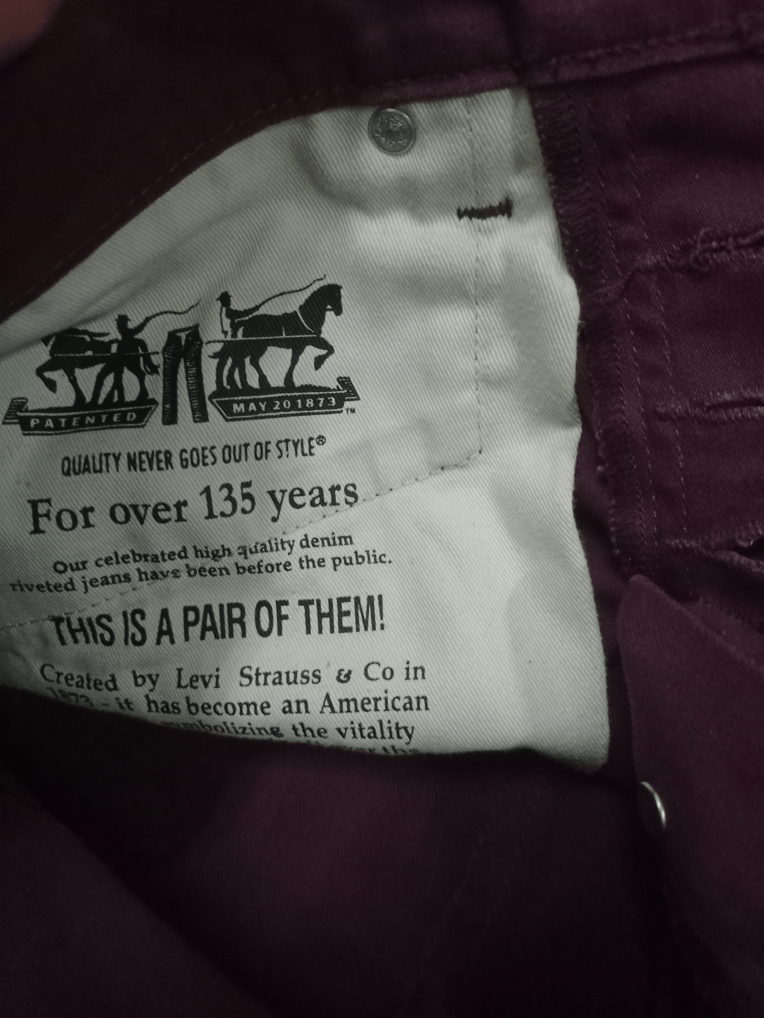 Levi's × Levi's Vintage Clothing Vintage Levis 511 Slim Style Maroon Denim Pants Size US 30 / EU 46 - 4 Thumbnail
