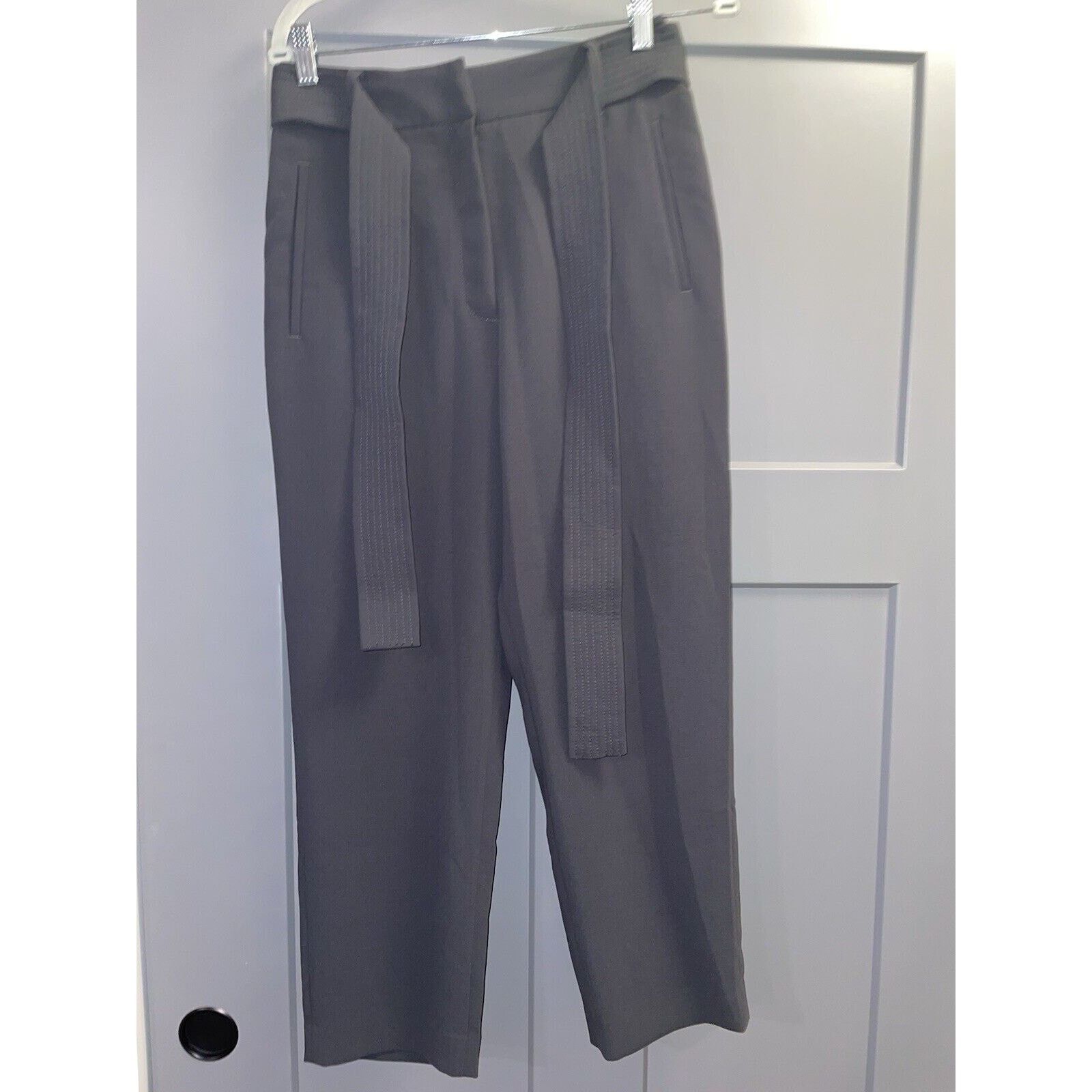 Aritzia Wilfred Aritzia Tie Front High Waisted Pants Gray Belt 6 Size 28" / US 6 / IT 42 - 1 Thumbnail