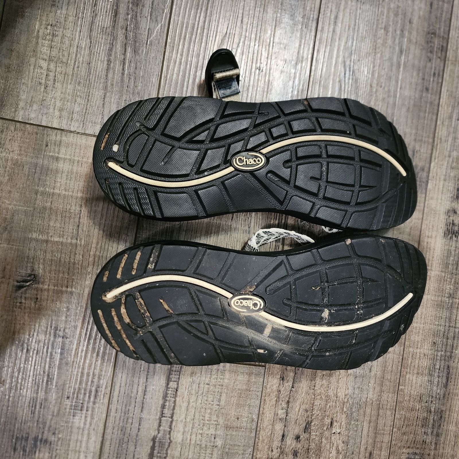 Chaco Chaco Z2 Classic Sport Women's Sandals Trine Bow SH1 Size US 9 / IT 39 - 8 Thumbnail