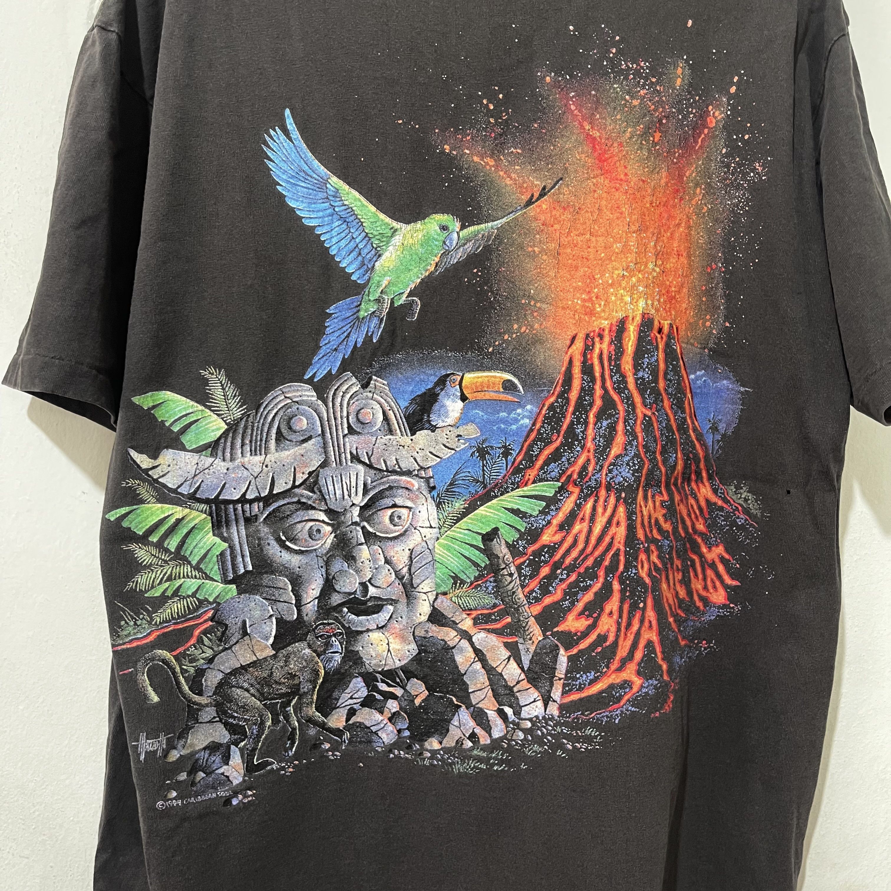 Vintage Vintage 90s Caribbean Soul Tropical Volcano T-Shirt Size US L / EU 52-54 / 3 - 2 Thumbnail