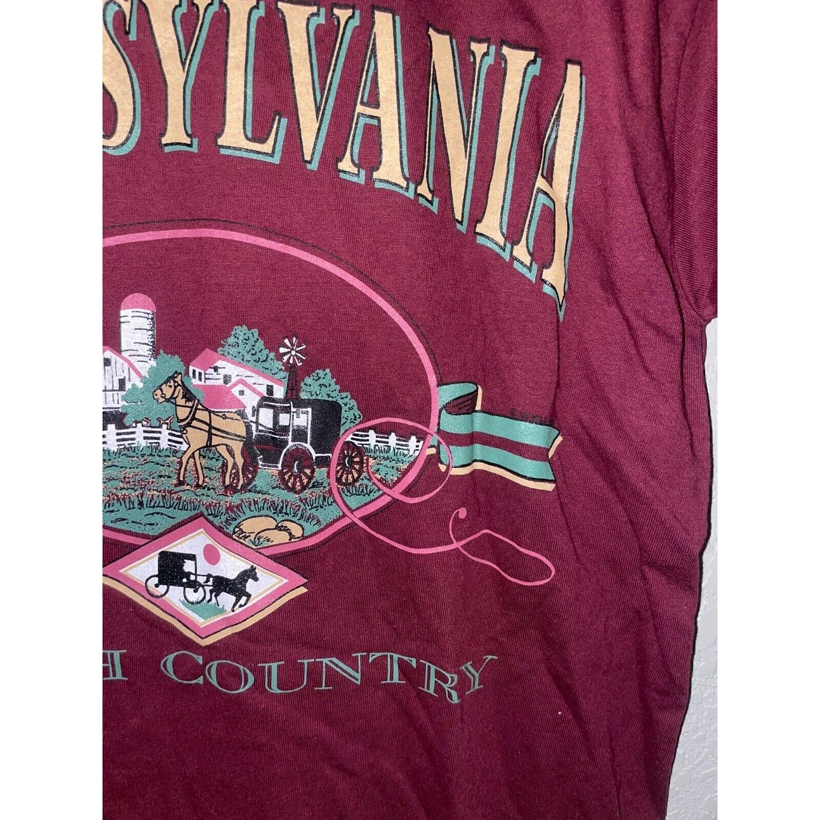 Jerzees Vintage Pennsylavnia Shirt Amish Country Red Tee VTG 90s M Size US M / EU 48-50 / 2 - 4 Thumbnail