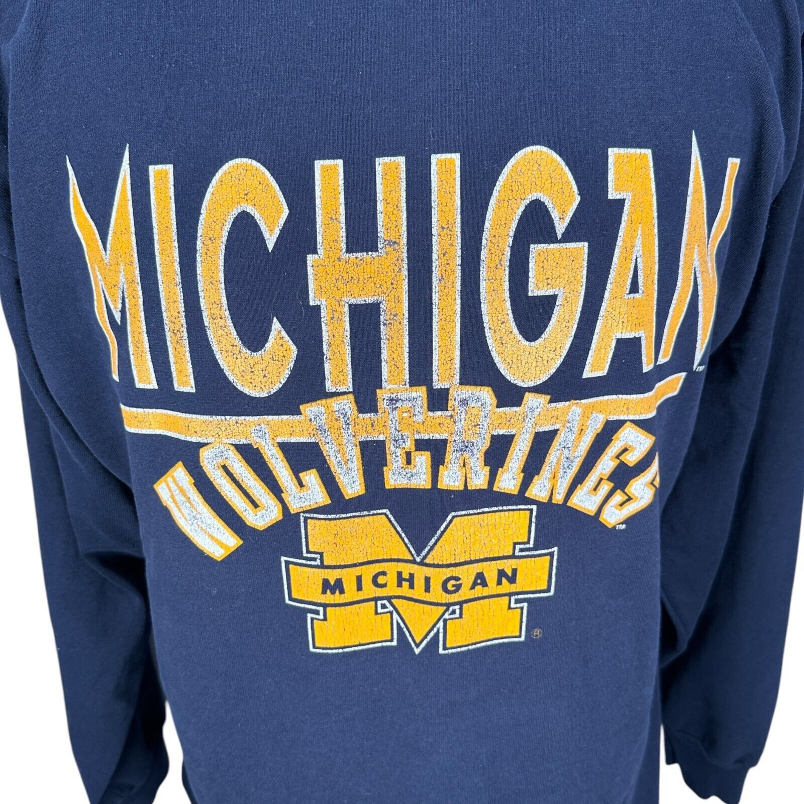 Champion Vintage Champion Michigan Wolverines Hoodie Mens Large Blue Size US L / EU 52-54 / 3 - 2 Thumbnail