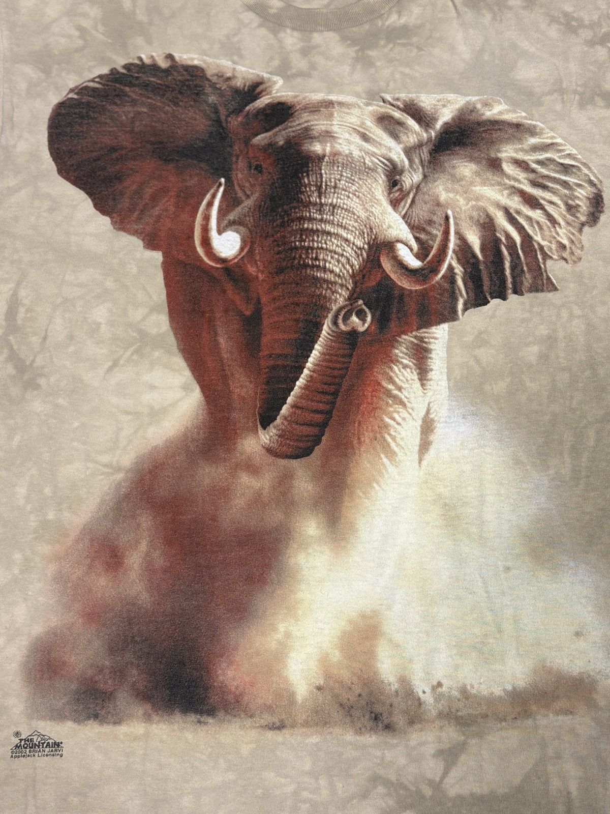 The Mountain Vintage 2002 The Mountain “Elephant” T-Shirt Size L 0791 Size US L / EU 52-54 / 3 - 4 Thumbnail