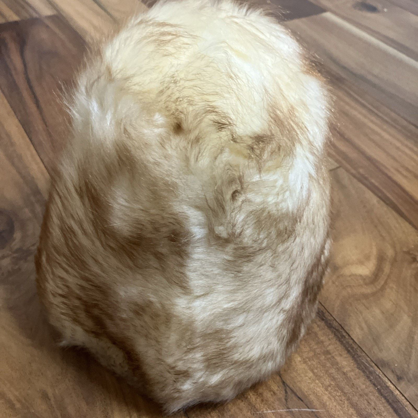 Other Cone Beehive Fur Small Hat Vtg 60s MOD Winter Cap Elegant Size ONE SIZE - 5 Thumbnail