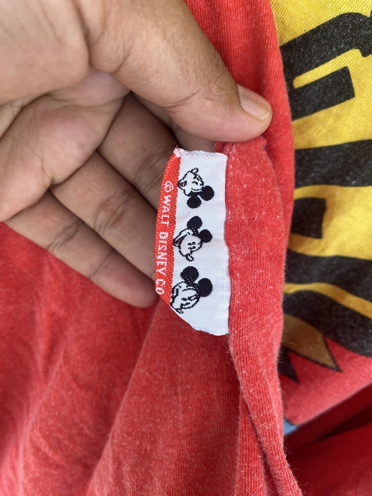 MICKEY MOUSE REVESIBLE FLIGHT TESTER BY JG HOOK AVIATION