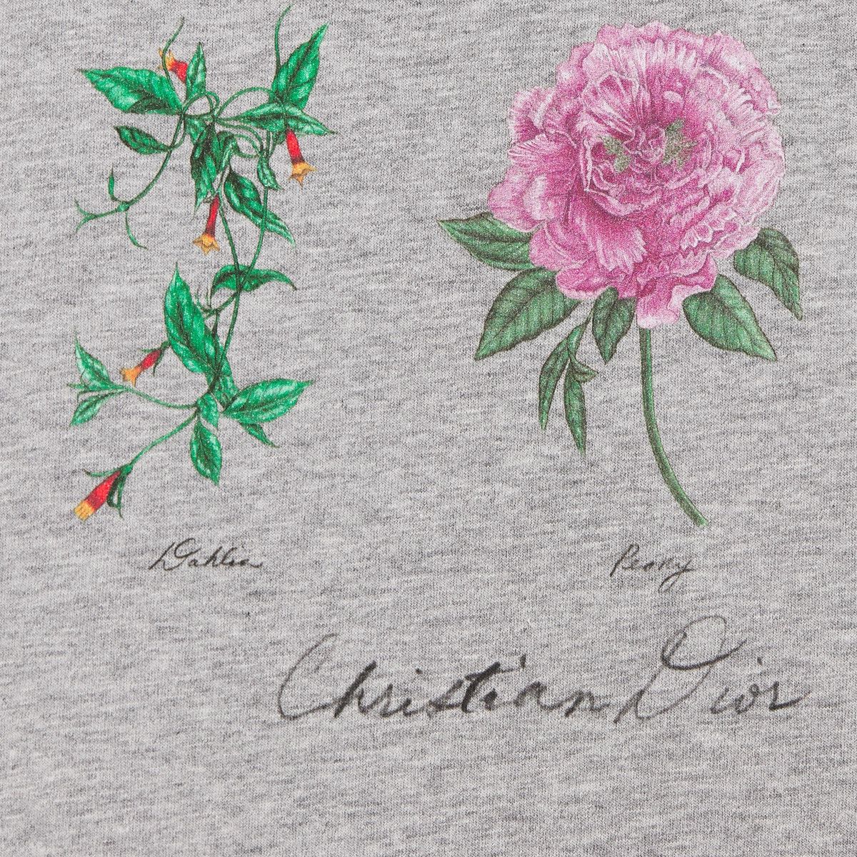 Dior o1bcso1str0226 T-Shirt in Grey Size US M / EU 48-50 / 2 - 3 Thumbnail