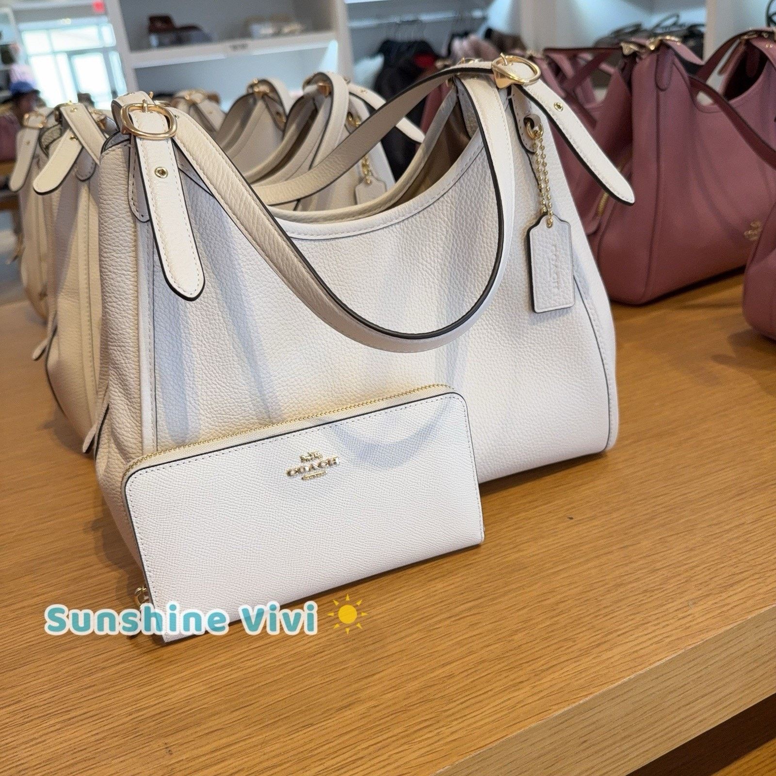 Coach NWT Bundle Coach Erin Bag CAQ86 & C3441 Long Zip Wallet Size ONE SIZE - 1 Thumbnail