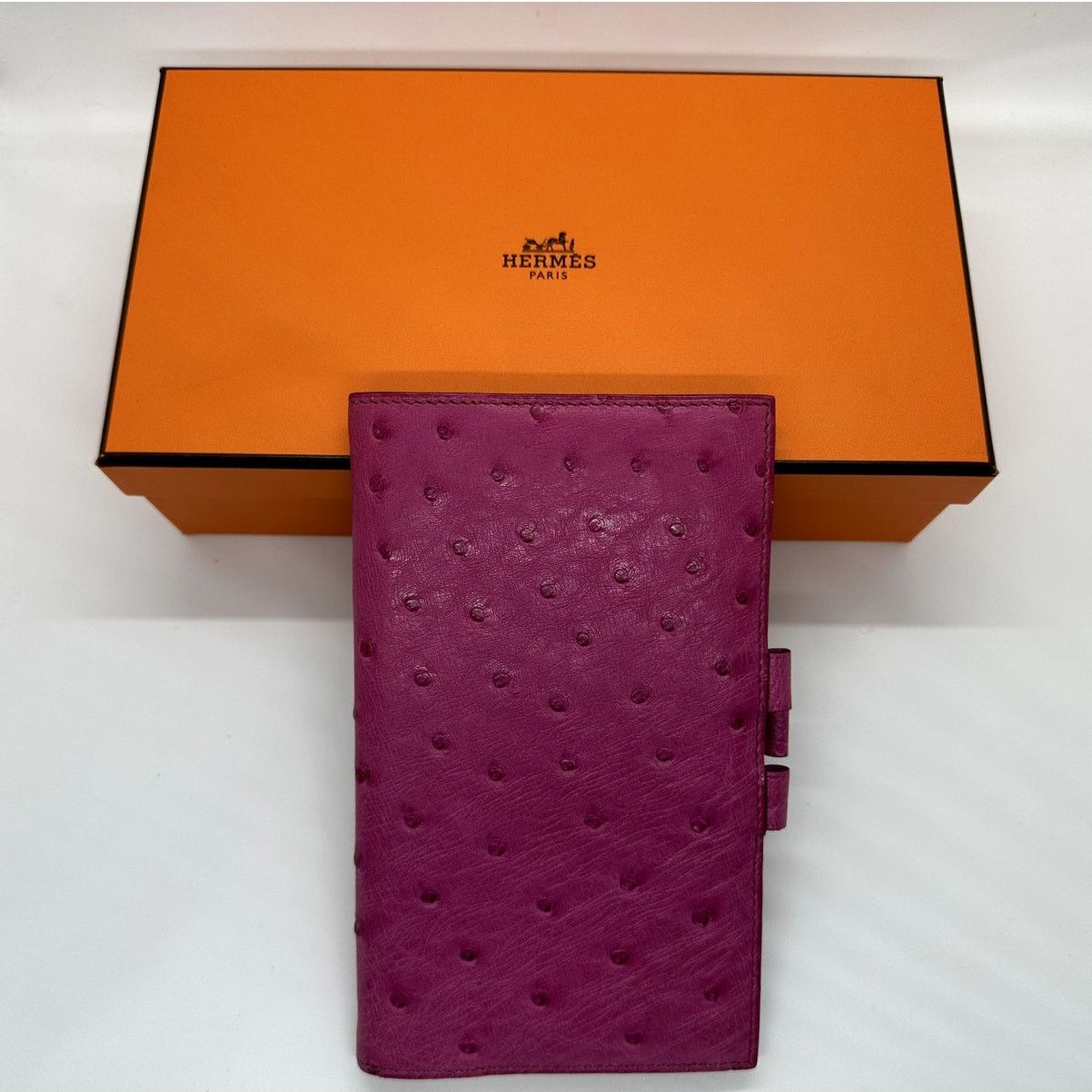Hermes HERMES Globetrotter NotebookAgenda Ostrich Pink-RARE EUCwbox Size ONE SIZE - 2 Thumbnail