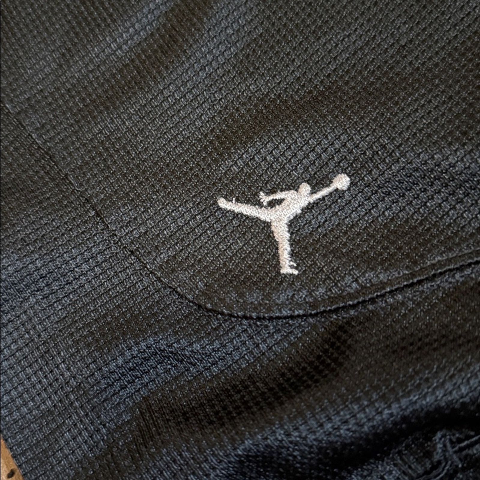 Jordan Brand Y2K Air Jordan Shorts Size US 34 / EU 50 - 2 Thumbnail