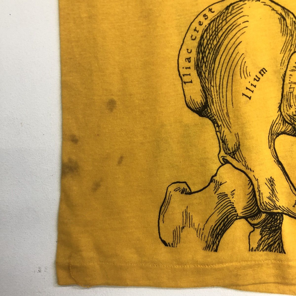 Art Comes First VINTAGE ART LESLIE ARWIN 1978 ANATOMY SKULL BONES TSHIRT Size US L / EU 52-54 / 3 - 4 Thumbnail