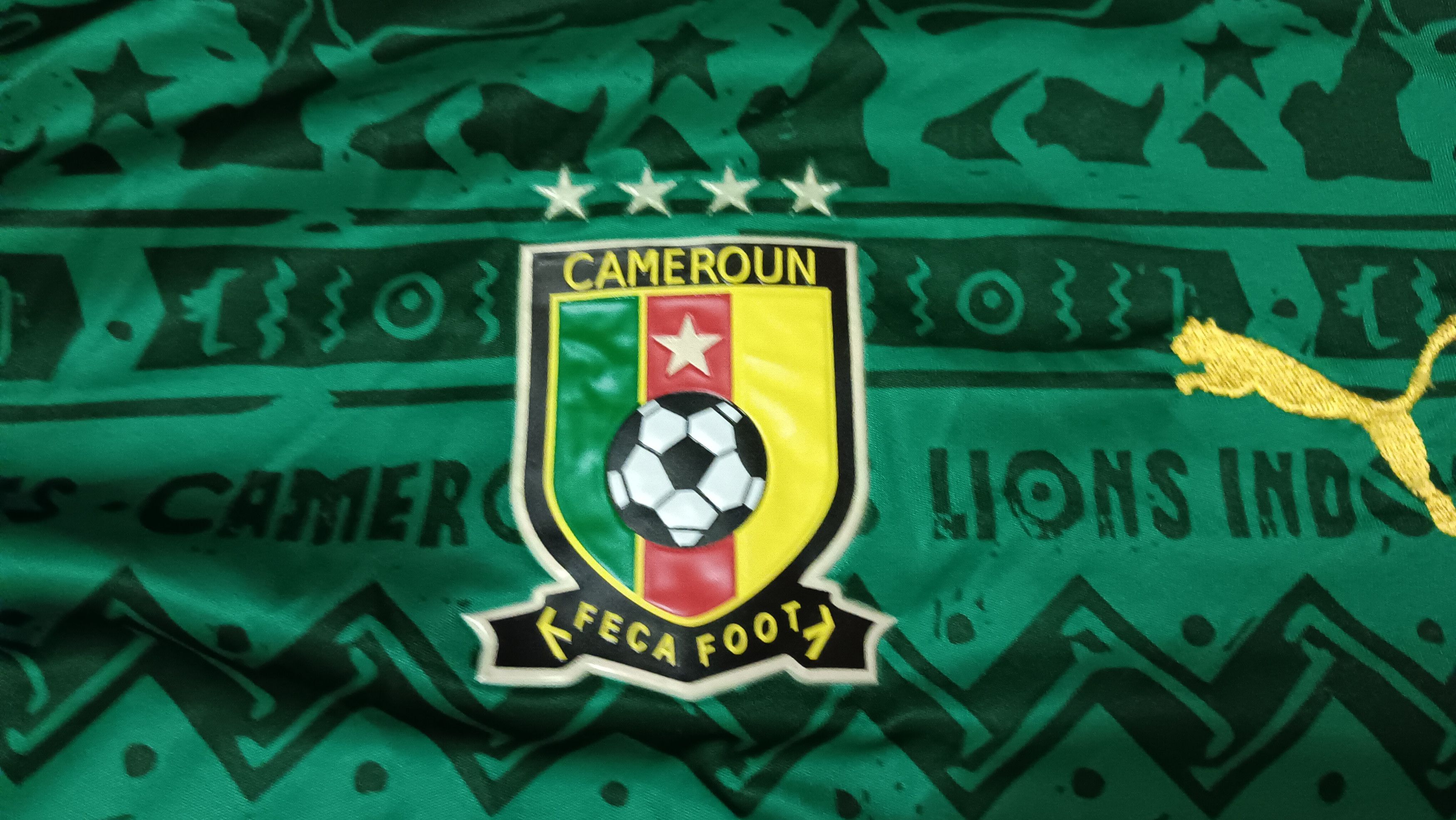 Puma 2014-2015 | Cameroon | Home Jersey Size US XL / EU 56 / 4 - 8 Thumbnail