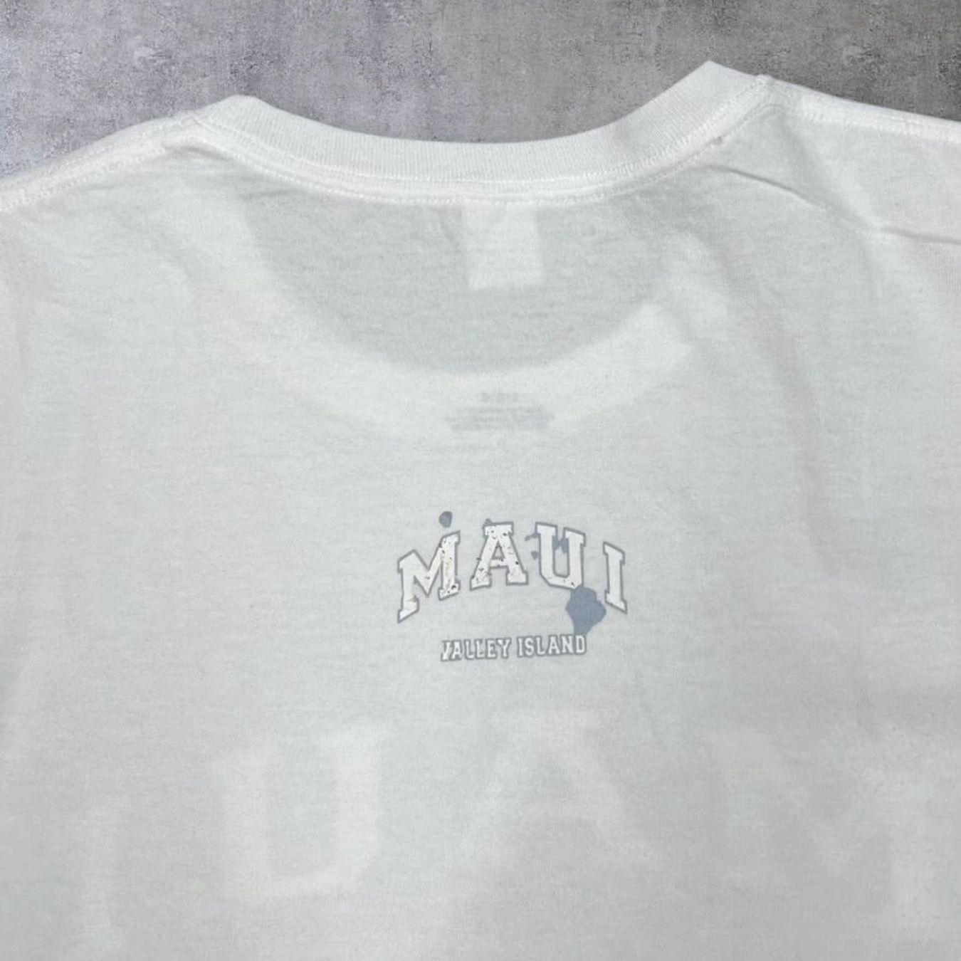 Hanes Hanes Maui “Valley Island” Hawaii Souvenir Spellout Graphic T-Shirt L Men White Vintage 00s Size US L / EU 52-54 / 3 - 3 Thumbnail