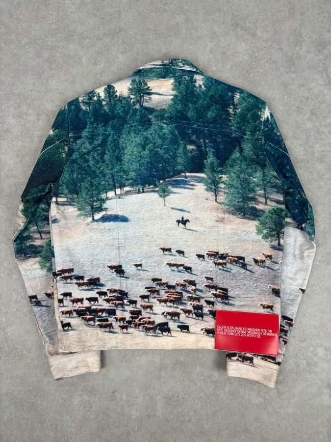 Calvin Klein AW2018 Calvin Klein Printed Landscape Scene Graphic Denim Jacket Size US M / EU 48-50 / 2 - 5 Thumbnail