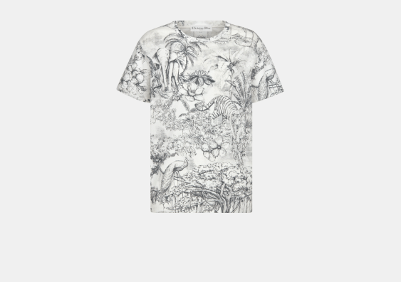 image of Dior O1Bcso1Str0524 T-Shirt In White, Women's (Size Small)