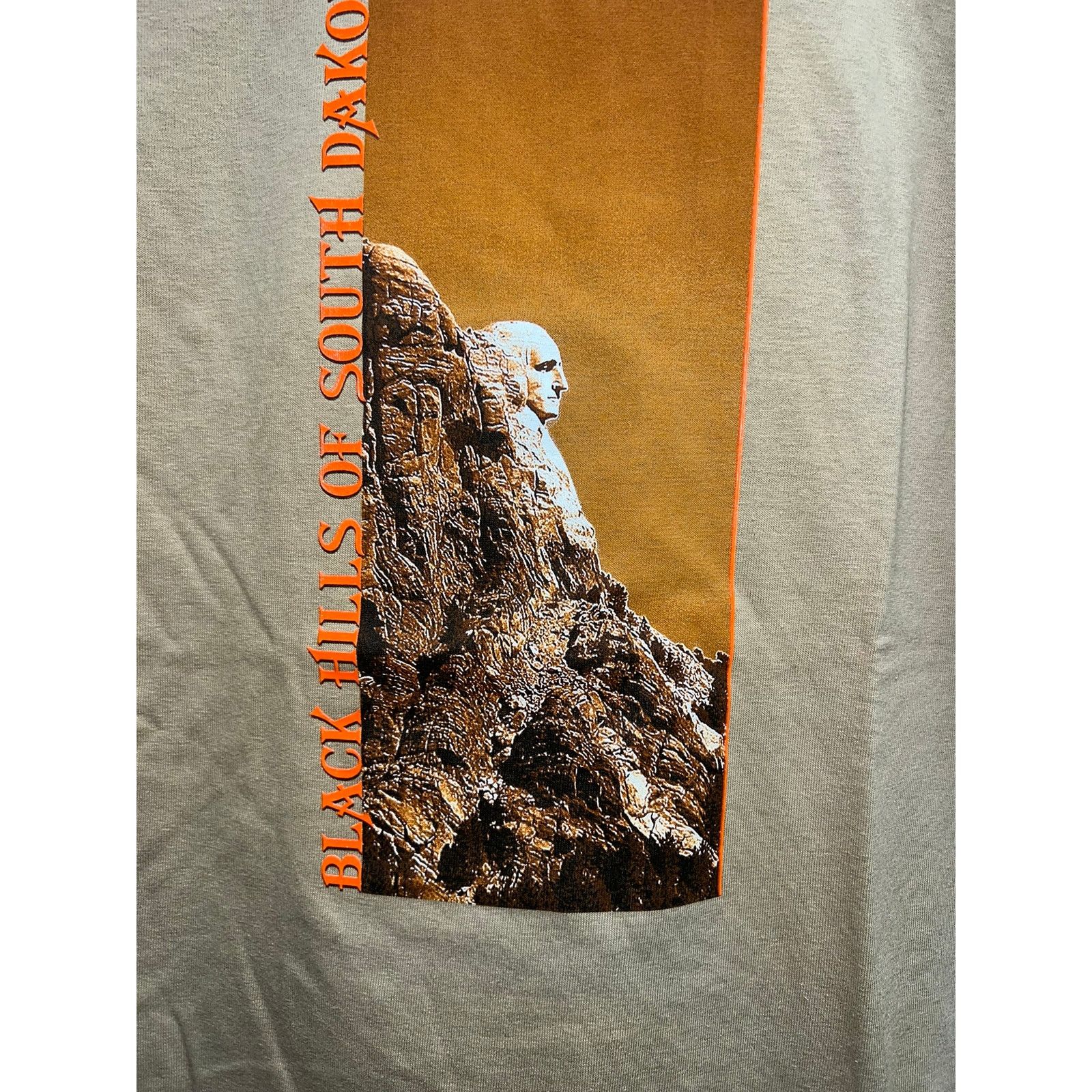 Gildan Vintage Black Hills South Dakota Shirt Brown Tee VTG M Size US M / EU 48-50 / 2 - 4 Thumbnail