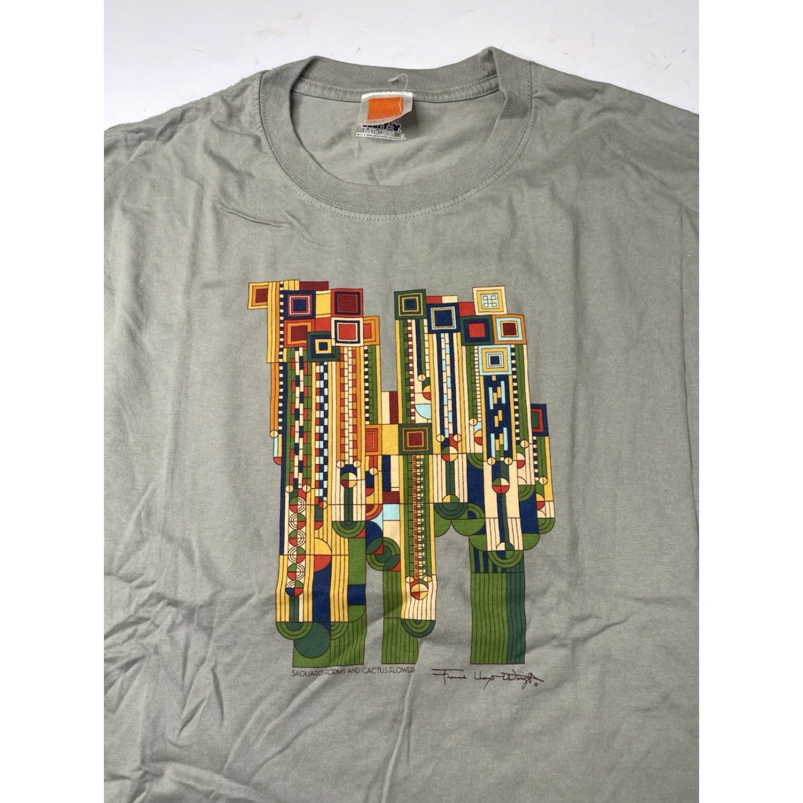 Hanes Frank Lloyd Wright Collection Saguaro Cactus T Shirt Size Large Art Tee Green Unisex Adults Short Sleeve Crew Neck Cotton Hanes ST210 Size US L / EU 52-54 / 3 - 2 Thumbnail