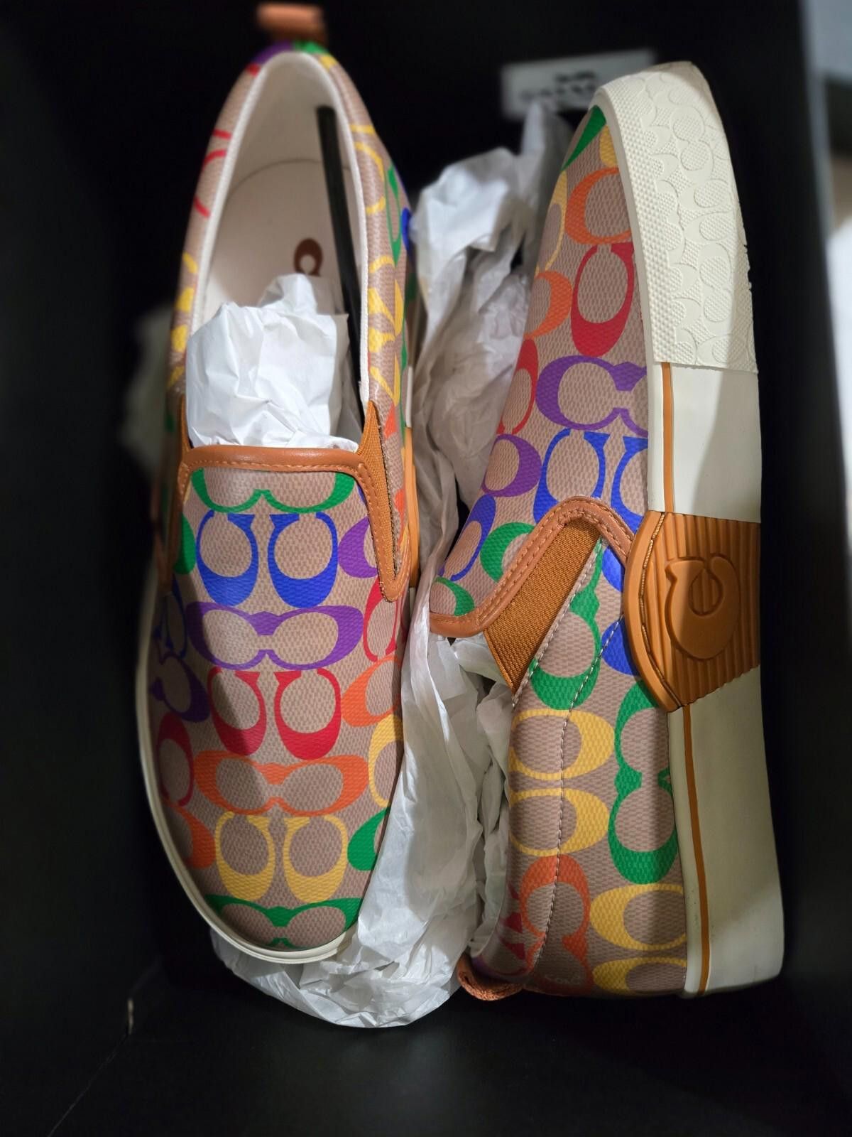 Coach Men's COACH Pride Rainbow Skate SlipOn Sneaker Tan 12 D NWT Size US 12 / EU 45 - 3 Thumbnail